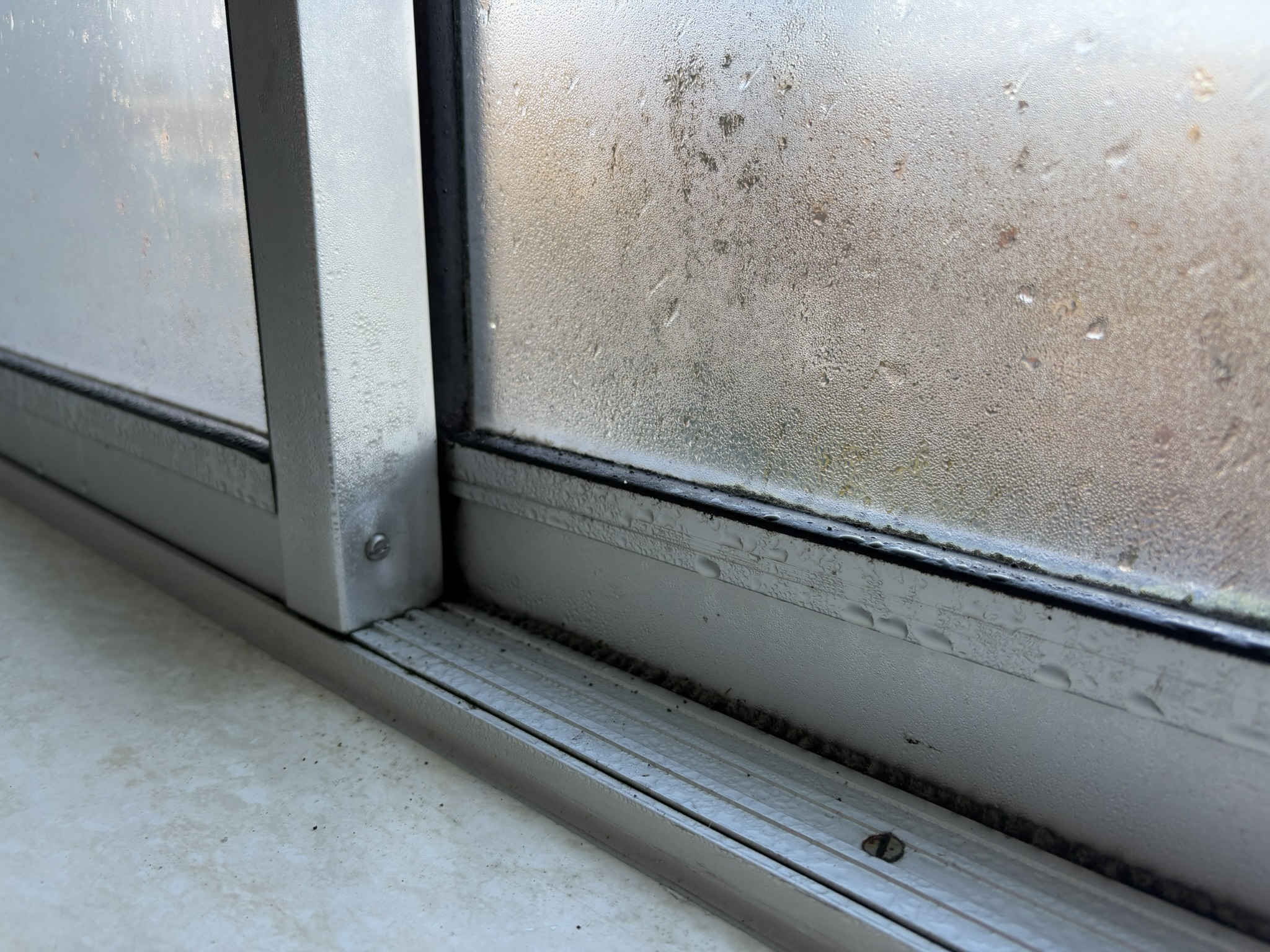 condens schimmels in huis