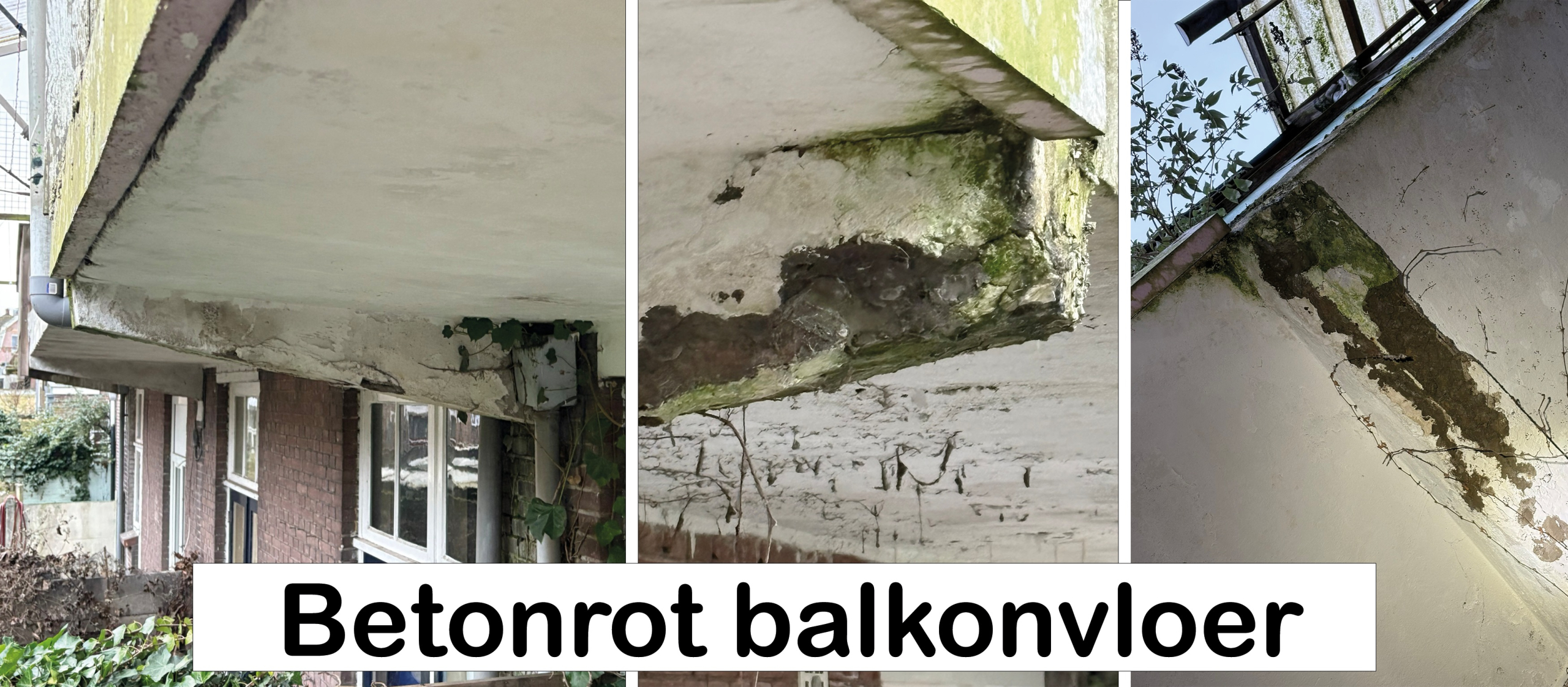 betonrot